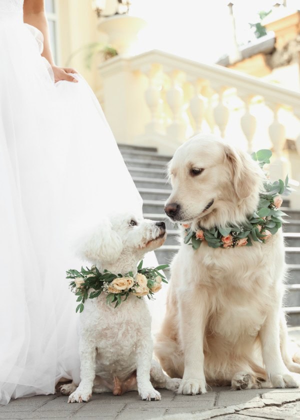 AdobeStock_385627503